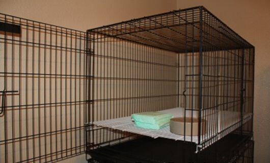 Great Dane Cage