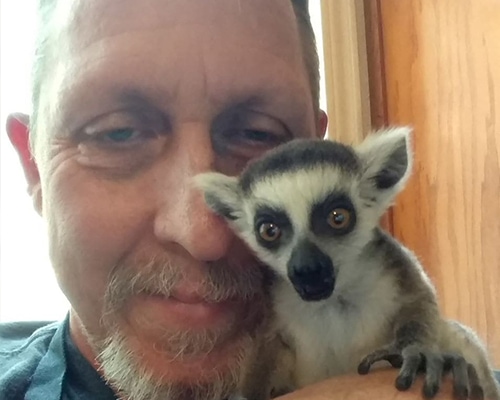 Kerry the Lemur King