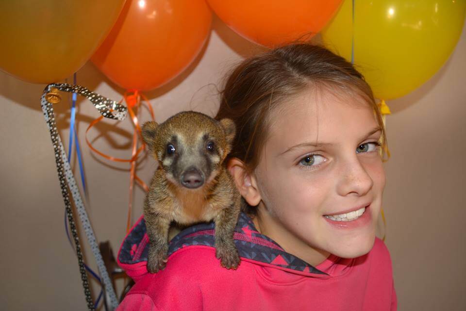 Birthday Party